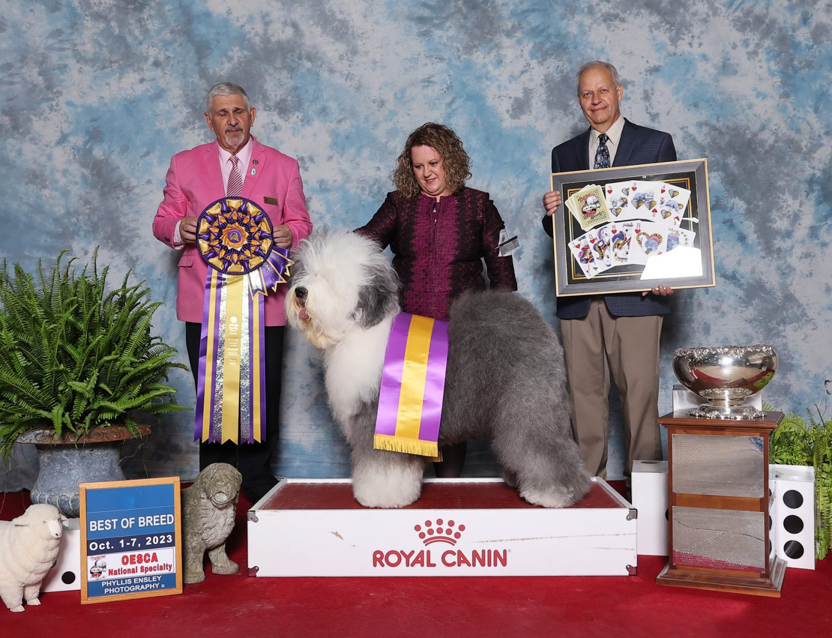 GCHB CH CAN CH Bagatelle Master of the Moon ("Milo")